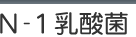 N-1乳酸菌